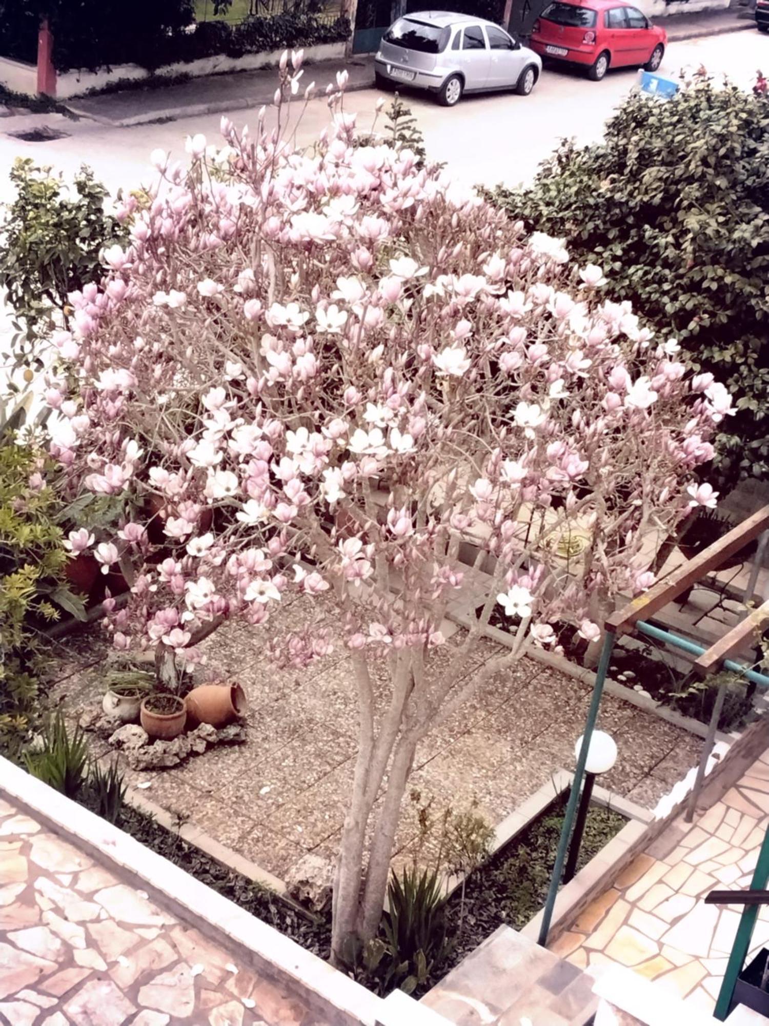 Appartamento Αlexandras House Preveza Esterno foto
